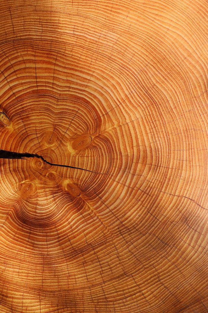 Holz Nachhaltigkeit Nachhaltig